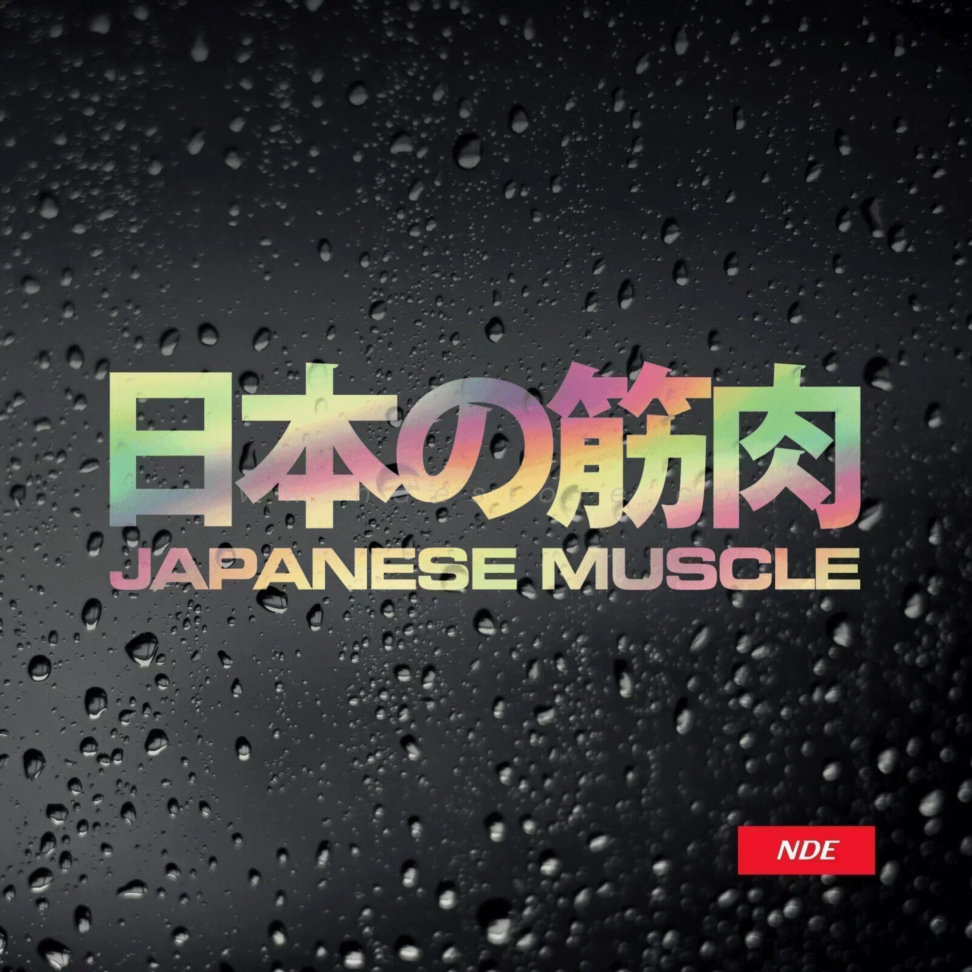 STICKER MADE IN JAPAN CAR GOLD OIL SLICK STICKER JDM JAP TUNER DRIFT STANCE TENGOKU - ndestore.com