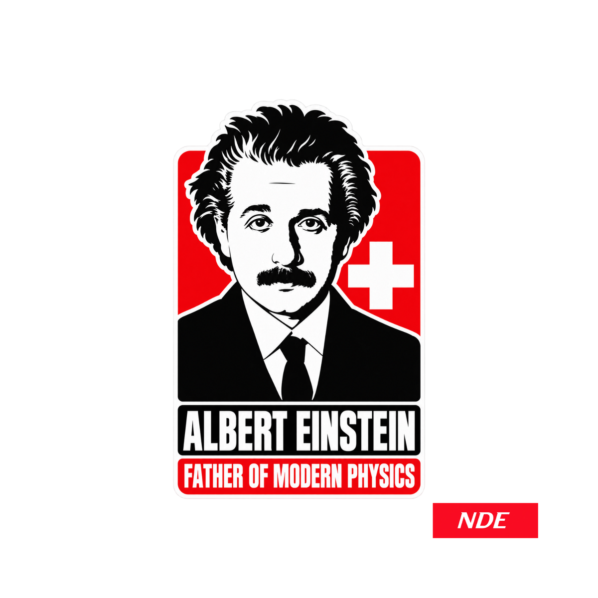 Albert Einstein Young Portrait Global Leader Series vinyl cut decal sticker