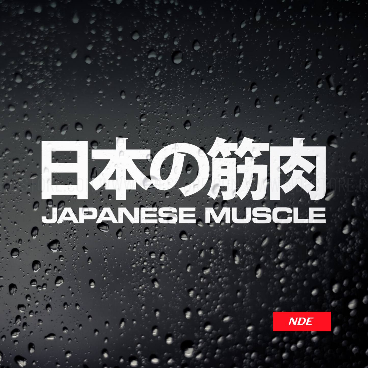 STICKER DECAL JAPANESE MUSCLE